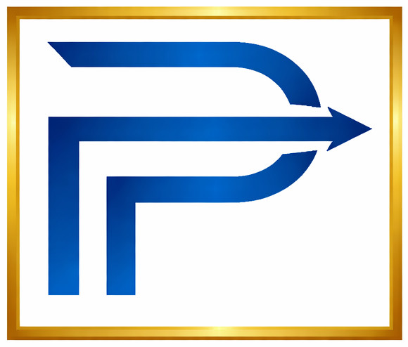 PRO Trainers IT Logo